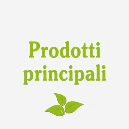 Immagine per la categoria Prodotti principali