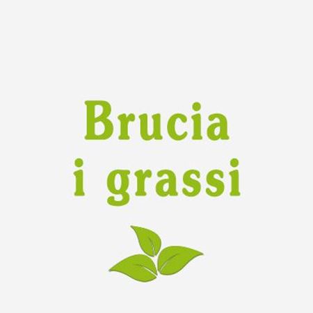 Immagine per la categoria Brucia i grassi