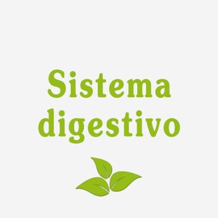 Immagine per la categoria Sistema digestivo