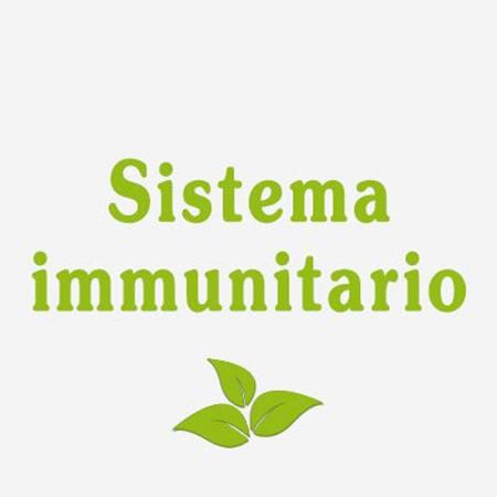 Immagine per la categoria Sistema immunitario