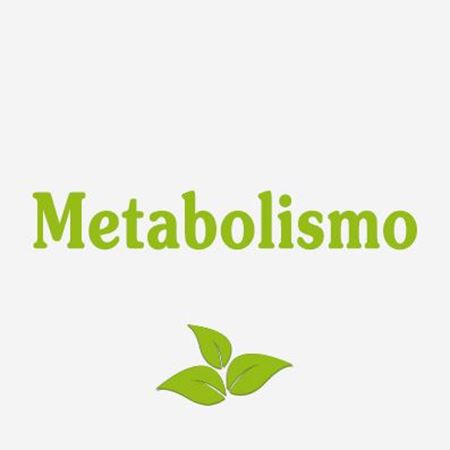 Immagine per la categoria Metabolismo