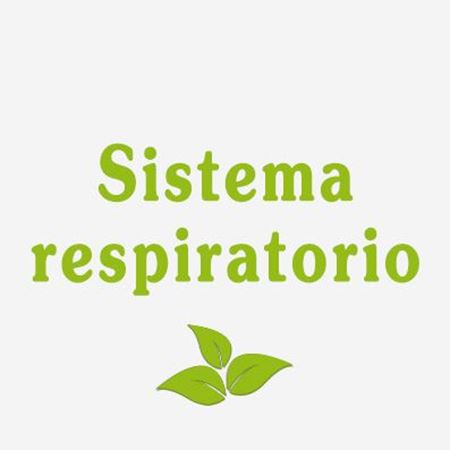 Immagine per la categoria Sistema respiratorio